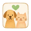 pinit pet services pet walking, pet sitting, and pet grooming