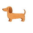 dog walking service