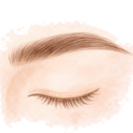 eyelashes and eyebrows services