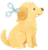 pet grooming at home or in salon
