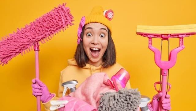 Pinit home and industrial cleaning and housekeeping services