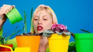 Pinit gardening service for yard maintenance and landscaping