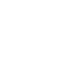 icons8-stripe-150